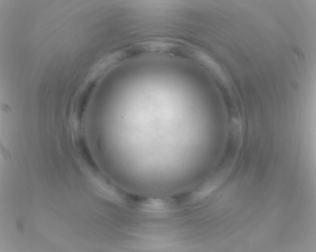 X0000090950381200708021341
