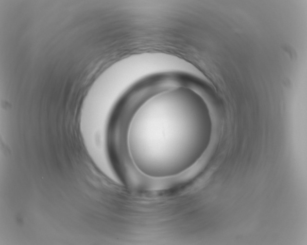 X0000090950384200708021341