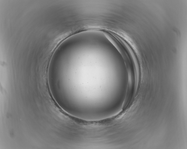 X0000090950385200708021341