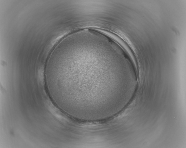 X0000090950386200708021341
