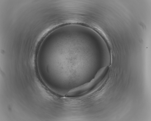 X0000090950387200708021341