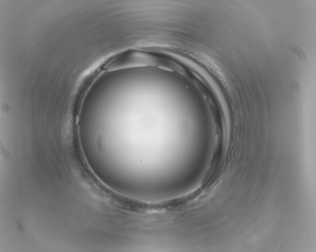 X0000090950388200708021341