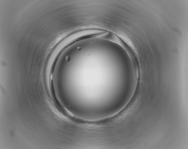 X0000090950389200708021341