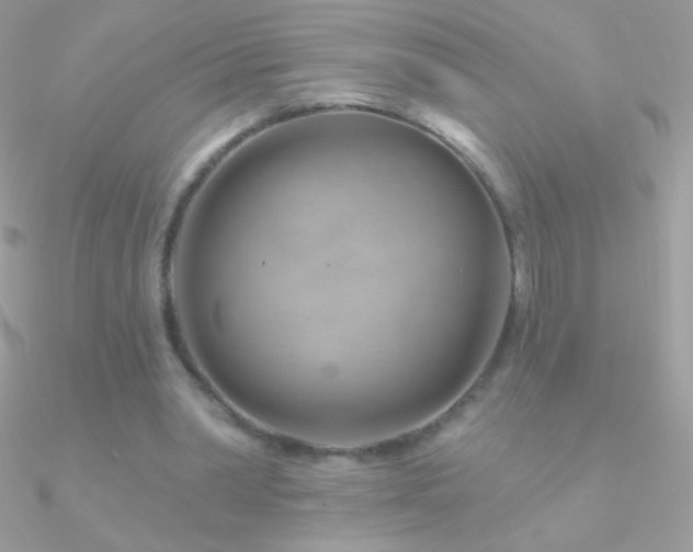 X0000090950390200708021341