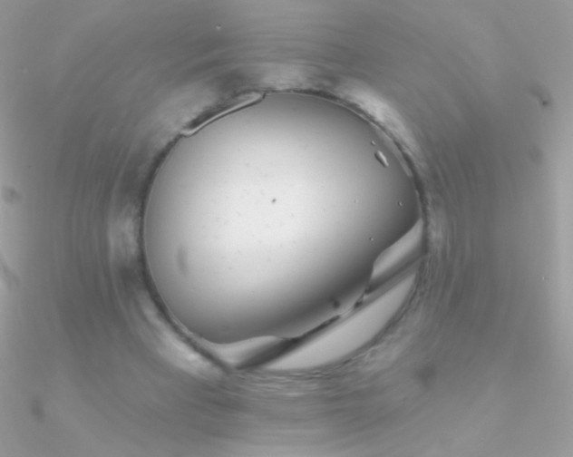 X0000090950393200708021341