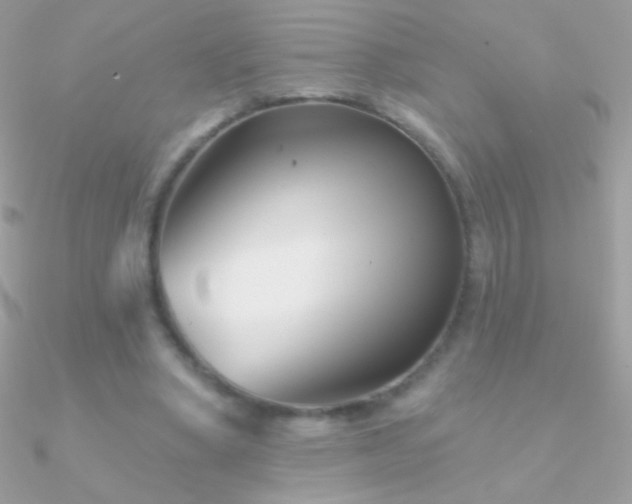 X0000090950394200708021341