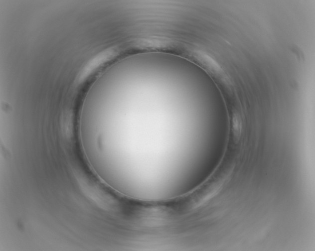 X0000090950396200708021341