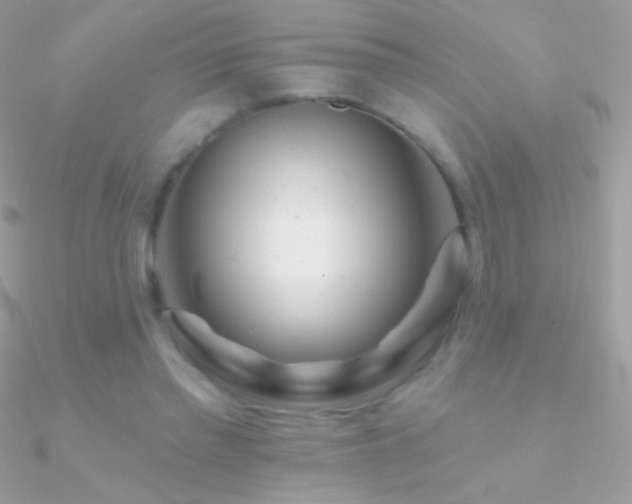 X0000090950397200708021341