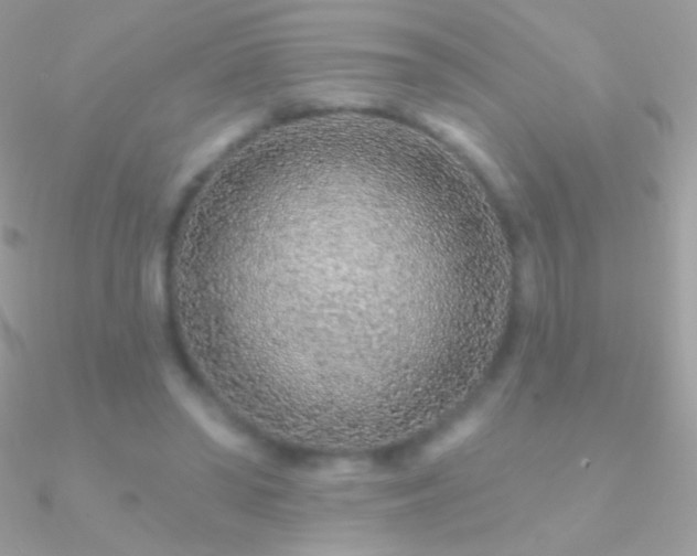X0000090950398200708021341