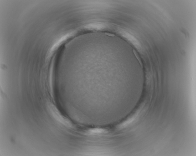 X0000090950399200708021341