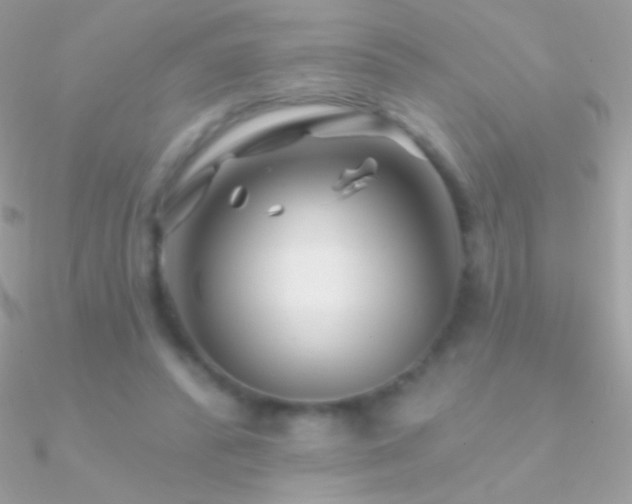 X0000090950400200708021341