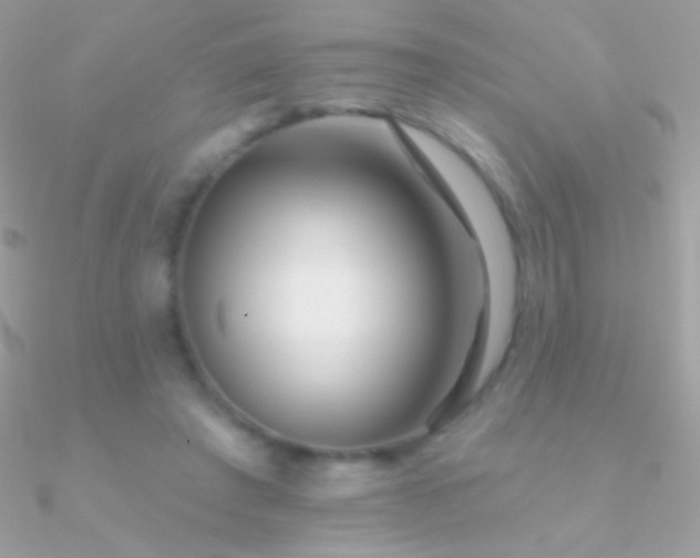 X0000090950401200708021341