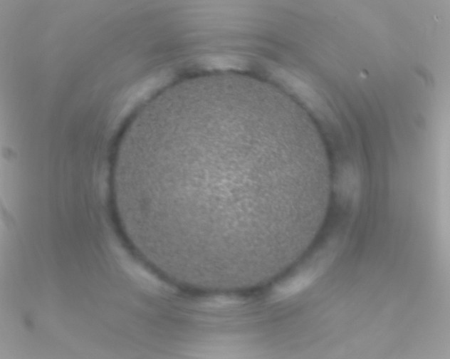 X0000090950402200708021341