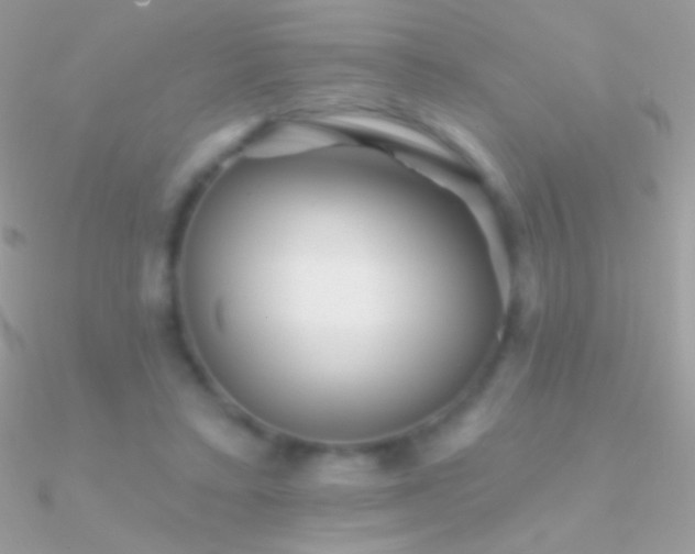 X0000090950403200708021341