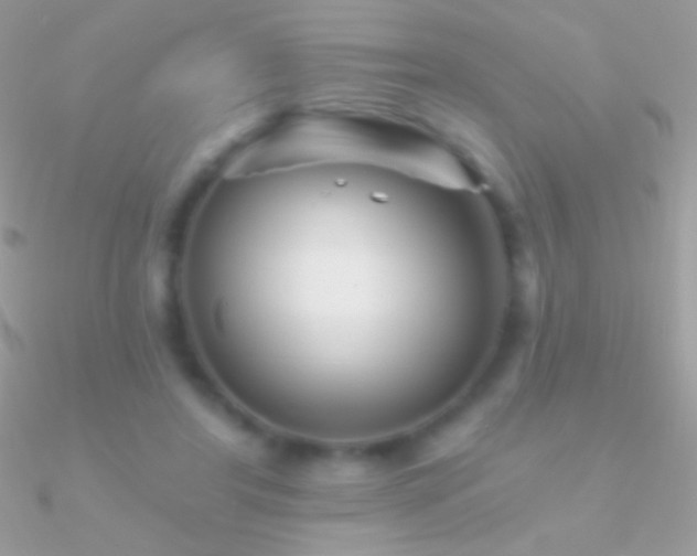 X0000090950404200708021341