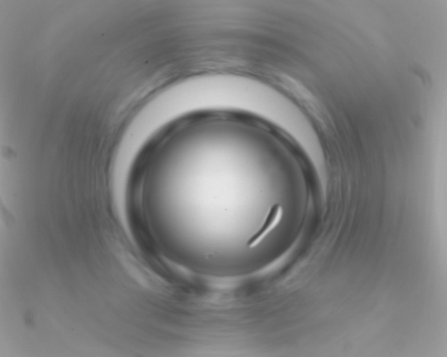 X0000090950405200708021341