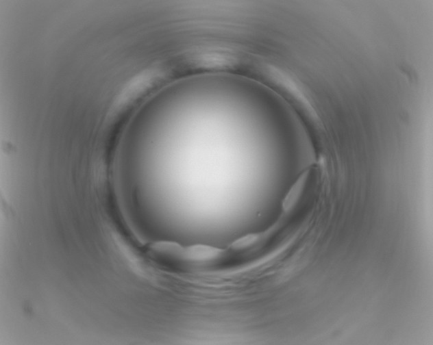 X0000090950407200708021341