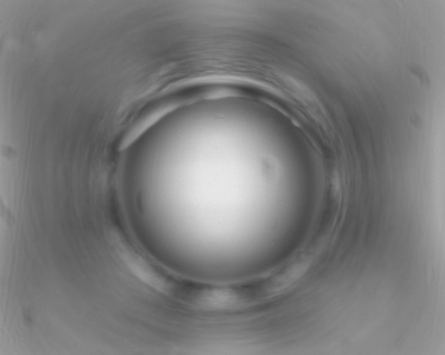 X0000090950409200708021341
