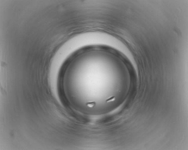 X0000090950411200708021341