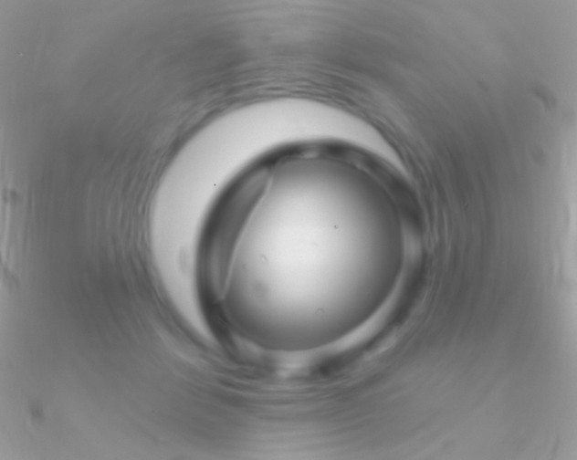 X0000090950412200708021341