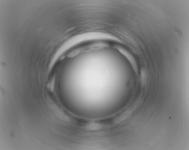 X0000090950413200708021341
