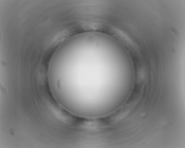 X0000090950414200708021341