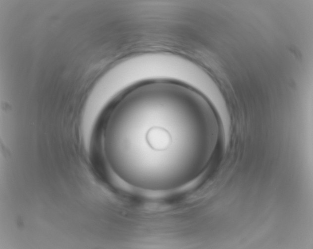 X0000090950415200708021341