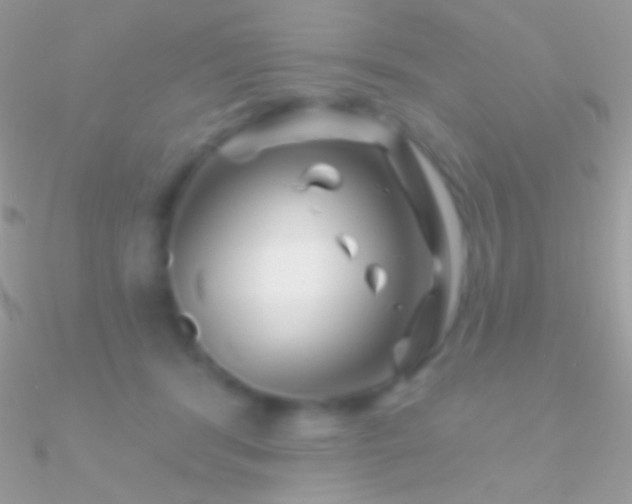 X0000090950416200708021341