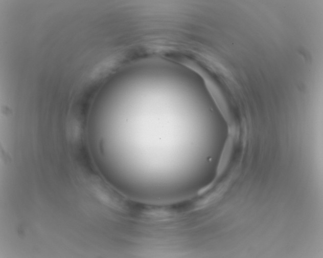 X0000090950417200708021340