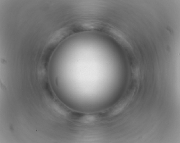 X0000090950418200708021340