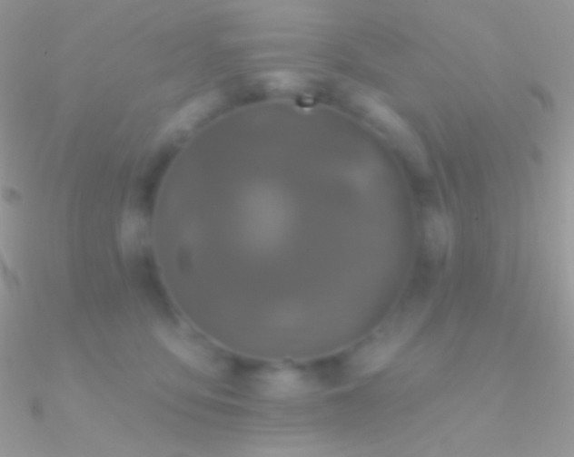 X0000090950419200708021340
