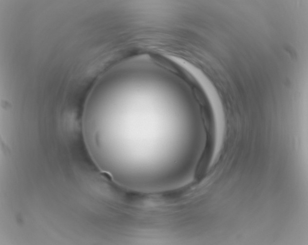 X0000090950420200708021340