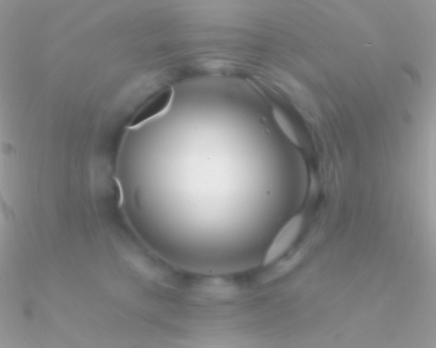 X0000090950421200708021340