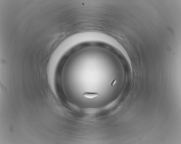 X0000090950423200708021340