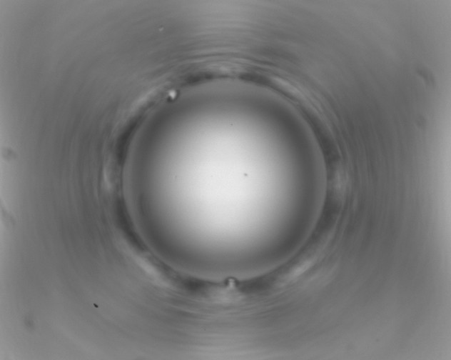 X0000090950424200708021340