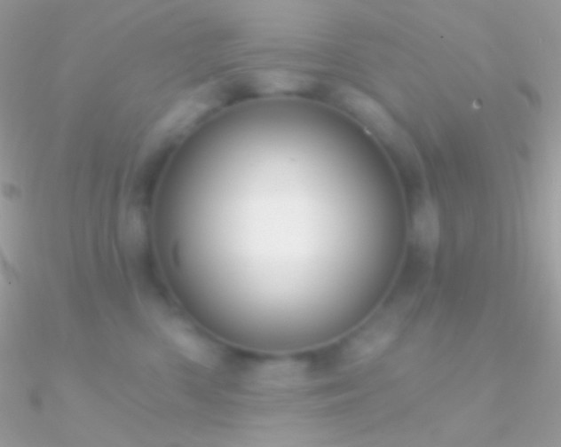 X0000090950426200708021340