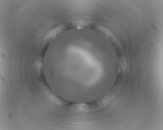 X0000090950427200708021340