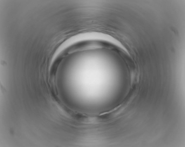 X0000090950428200708021340