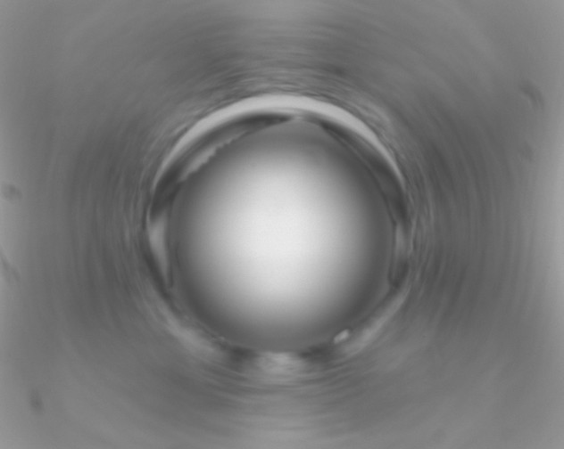 X0000090950429200708021340