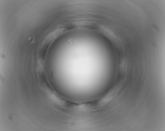X0000090950430200708021340