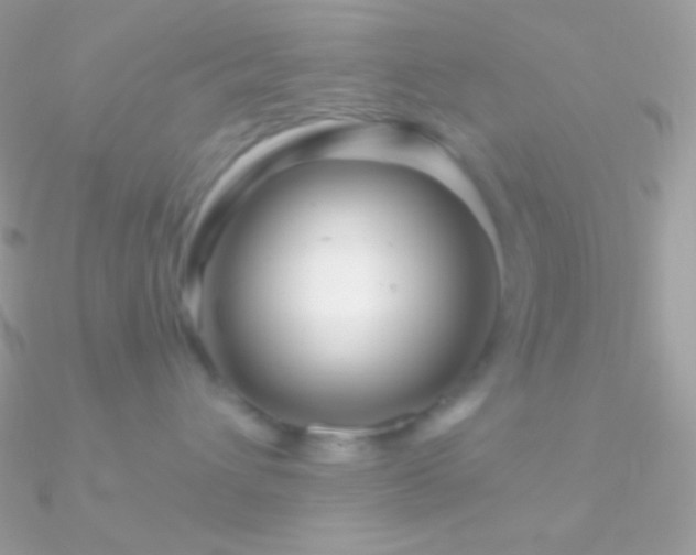 X0000090950432200708021340