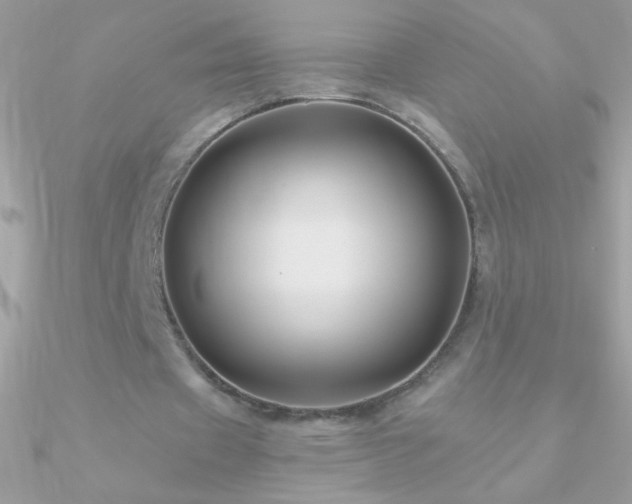 X0000090950433200708021340