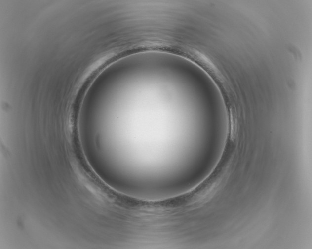 X0000090950435200708021340