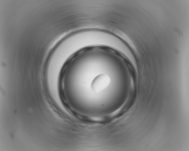 X0000090950436200708021340