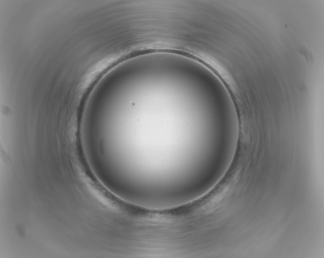 X0000090950437200708021340