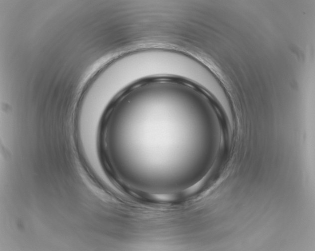 X0000090950438200708021340