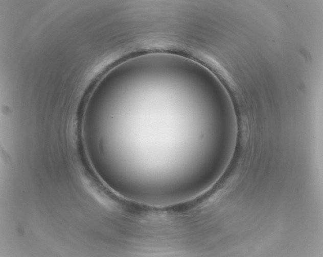 X0000090950439200708021340