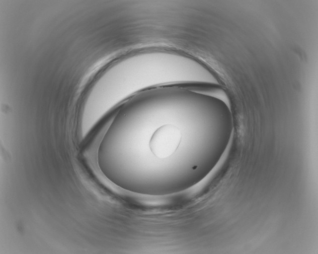 X0000090950440200708021340