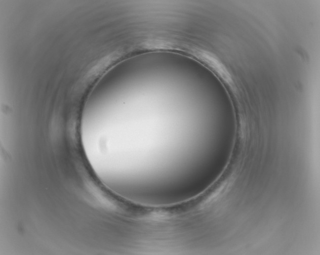 X0000090950441200708021340