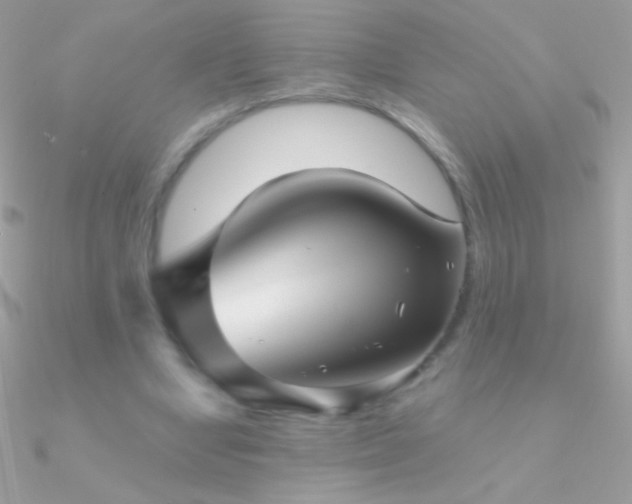 X0000090950442200708021340